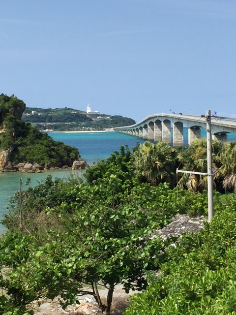 Image1 Image1